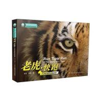 老虎，快跑 9787304072070