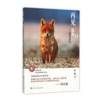 再见，狐狸——狐狸的烦恼