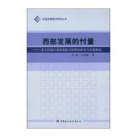 西部发展的忖量：基于区域自我发展能力的理论框架与实践探索