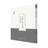 中国小说的起源及其演变(近代名家散佚学术著作丛刊 文学)