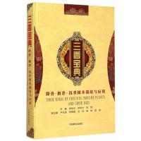 三香宝典—降香、檀香、沉香树木栽培与应用 9787503880421