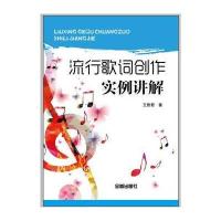 流行歌词创作实例讲解 9787518605835