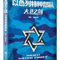 大卫之剑：以色列特种部队