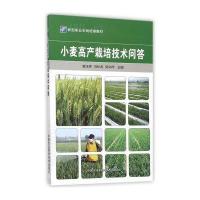 小麦高产栽培技术问答