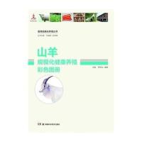 畜禽规模化养殖丛书—山羊规模化健康养殖彩色图册 9787535788788