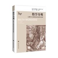 数学奇观——让数学之美带给你灵感与启发
