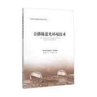公路隧道光环境技术