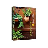 好玩又好种的家居绿色盆栽 9787512385597