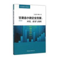 甘肃省小微型企业发展战略研究