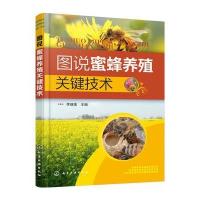 图说蜜蜂养殖关键技术