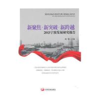新聚焦 新突破 新跨越——2013宁波发展研究报告 9787517701965