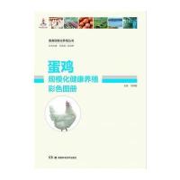 畜禽规模化养殖丛书—蛋鸡规模化健康养殖彩色图册 9787535788696