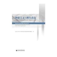 理想主义与现实改造