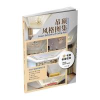 吊顶风格图集:书房 休闲空间 9787568016018