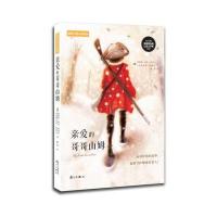 亲爱的哥哥山姆 9787540778033