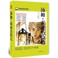 汤姆 索亚历险记