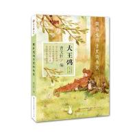 做在大胡子里的鸟窝