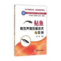鲇鱼高效养殖致富技术与实例(全国主推高效水产养殖技术丛书) 1
