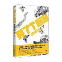 开了个脑洞 : 极限故事簿 3 9787550270008