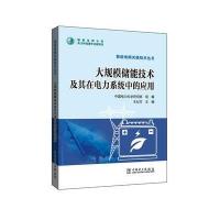 智能电网关键技术丛书 大规模储能技术及其在电力系统中的应用