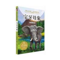 动物小说王国 沈石溪获奖作品 宝牙母象 9787556219216