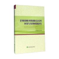 企业战略决策团队自反性功效与实现机制研究