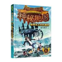 神秘地图(6)：翡翠岛上的机械师(附显隐卡)