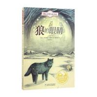大奖儿童小说：狼的眼睛 9787534292170
