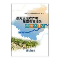 淮河流域农作物旱涝灾害损失精细化评估