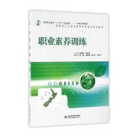 职业素养训练(高等职业教育“十三五”规划教材(新能源课程群))