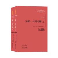 安娜 卡列尼娜 9787539290102