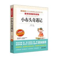 小布头奇遇记/语文新课标必读丛书分级课外阅读青少版(无障碍阅读彩插本)
