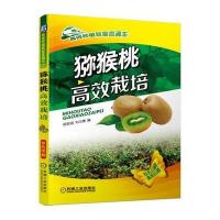 猕猴桃高效栽培 9787111524601