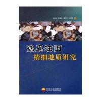孤岛油田精细地质研究 9787502151959
