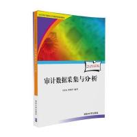 审计数据采集与分析 9787302456827