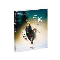 大奖小说注音版——石狐 9787530763674