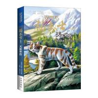 猫武士外传：天族外传 9787541760969