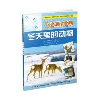 冬天里的动物 9787304072445