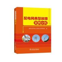 配电网典型故障案例分析 9787519802882