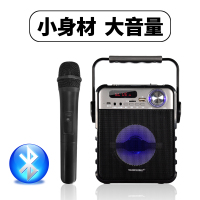 万圣t1户外手提广场舞小音响 便携式插卡u盘收音机 蓝牙低音炮K歌带无线话筒 移动喊麦地摊喧传促销扩音器 黑色标配