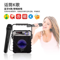 万圣t1户外手提广场舞小音响 便携式插卡u盘收音机 蓝牙低音炮K歌带无线话筒 移动喊麦地摊喧传促销扩音器 黑色标配