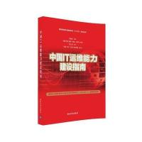 中国IT运维能力建设指南 9787302449362