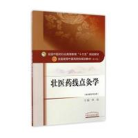 壮医药线点灸学 全国中医药行业高等教育“十三五”规划教材 9787513239295