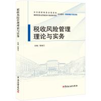 税收风险管理理论与实务