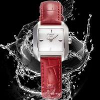 天梭(TISSOT)海浪系列女士石英表T02.1.265.71