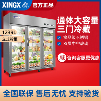 星星(XINGX)1200升立式冷柜不锈钢六门厨房冰箱冷藏柜双压缩机加厚发泡保鲜柜商用厨房冰柜BC-1480Y