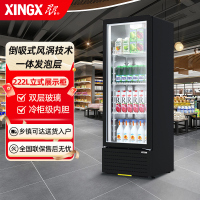 星星(XINGX) LSC-230YPE 222升 立式冷藏展示柜 大容量 7档调温 饮料柜 商用 双层玻璃更锁冷