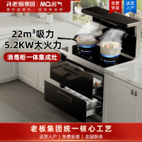 名气集成灶一体机22大风量挥手智控油烟机5.2kW燃气灶天然气全腔125L消毒柜家用二星消毒柜FX9A08天然气