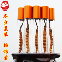 福曦堂 西藏那曲 冬虫夏草 1根的价格 7-9根1克的小冬虫夏草1根价 高海拔 那曲虫草