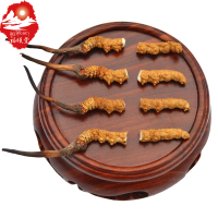福曦堂 西藏那曲 3根/克 内装1克 断草 头尾都有 冬虫夏草 那曲虫草 虫草
